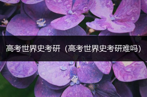 高考世界史考研（高考世界史考研难吗）