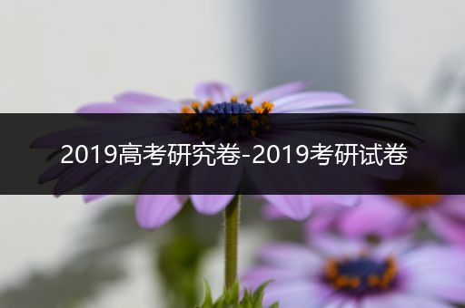 2019高考研究卷-2019考研试卷