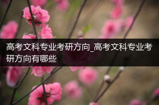 高考文科专业考研方向_高考文科专业考研方向有哪些