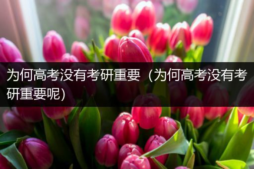 为何高考没有考研重要（为何高考没有考研重要呢）