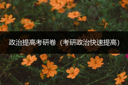 政治提高考研卷（考研政治快速提高）
