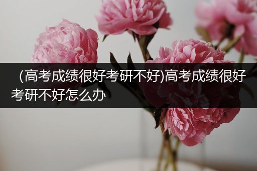 （高考成绩很好考研不好)高考成绩很好考研不好怎么办