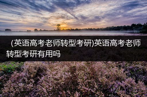 （英语高考老师转型考研)英语高考老师转型考研有用吗