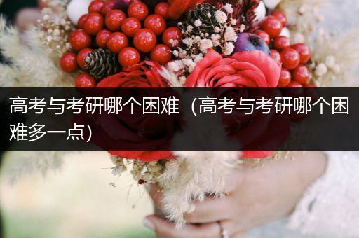 高考与考研哪个困难（高考与考研哪个困难多一点）