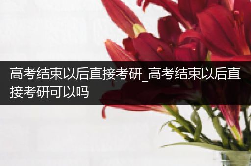 高考结束以后直接考研_高考结束以后直接考研可以吗