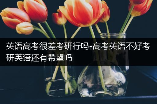 英语高考很差考研行吗-高考英语不好考研英语还有希望吗