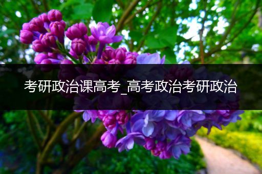 考研政治课高考_高考政治考研政治