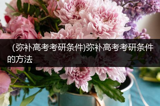 （弥补高考考研条件)弥补高考考研条件的方法