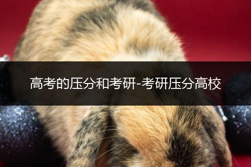 高考的压分和考研-考研压分高校