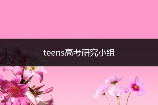 teens高考研究小组