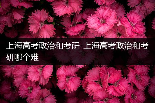 上海高考政治和考研-上海高考政治和考研哪个难