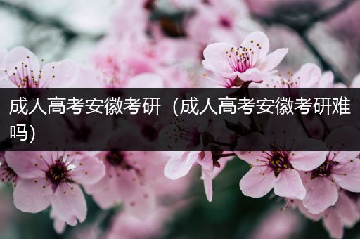 成人高考安徽考研（成人高考安徽考研难吗）