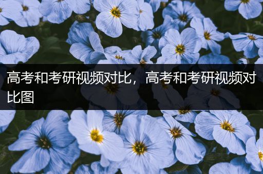 高考和考研视频对比，高考和考研视频对比图