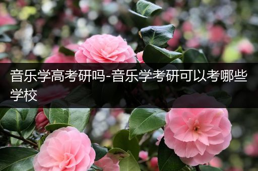 音乐学高考研吗-音乐学考研可以考哪些学校