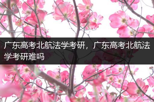 广东高考北航法学考研，广东高考北航法学考研难吗