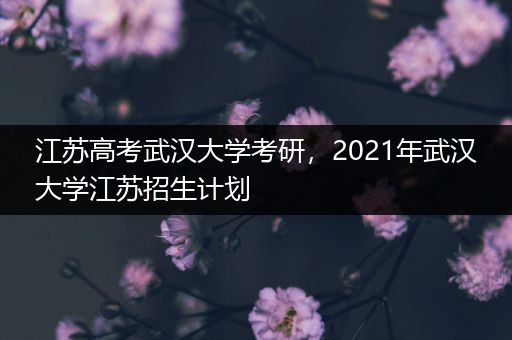 江苏高考武汉大学考研，2021年武汉大学江苏招生计划