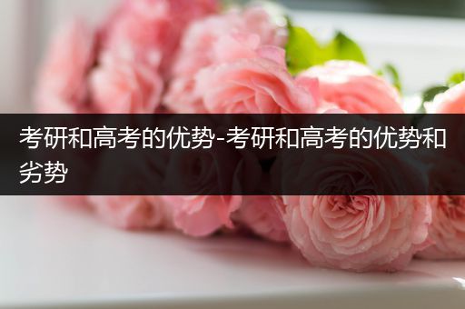 考研和高考的优势-考研和高考的优势和劣势