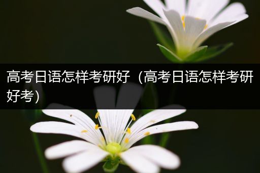 高考日语怎样考研好（高考日语怎样考研好考）