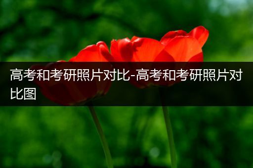 高考和考研照片对比-高考和考研照片对比图