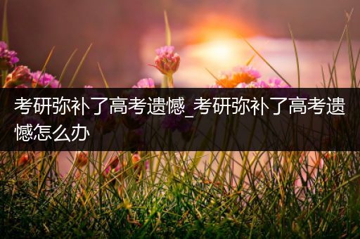 考研弥补了高考遗憾_考研弥补了高考遗憾怎么办