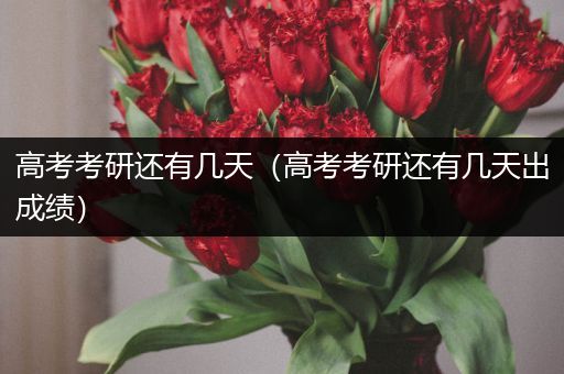高考考研还有几天（高考考研还有几天出成绩）
