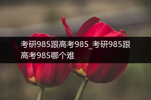 考研985跟高考985_考研985跟高考985哪个难