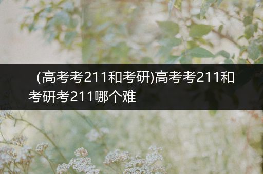 （高考考211和考研)高考考211和考研考211哪个难