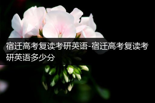 宿迁高考复读考研英语-宿迁高考复读考研英语多少分