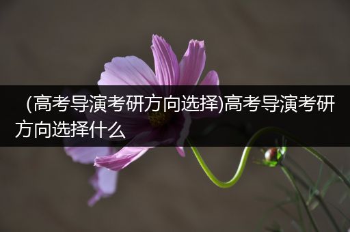 （高考导演考研方向选择)高考导演考研方向选择什么