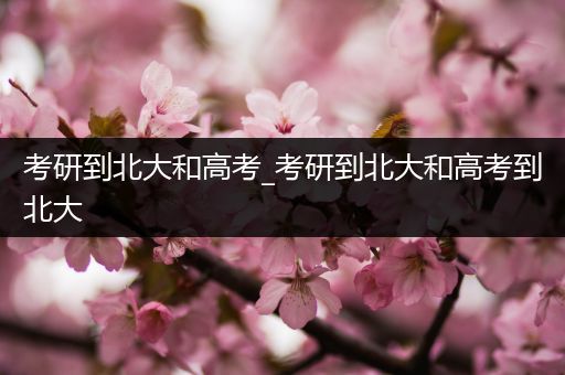 考研到北大和高考_考研到北大和高考到北大