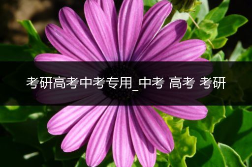 考研高考中考专用_中考 高考 考研