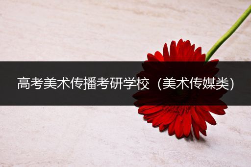 高考美术传播考研学校（美术传媒类）