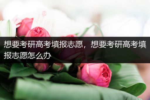想要考研高考填报志愿，想要考研高考填报志愿怎么办