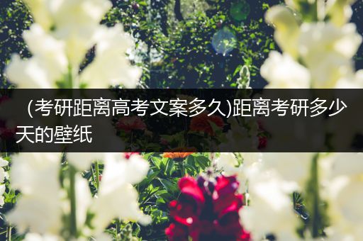 （考研距离高考文案多久)距离考研多少天的壁纸