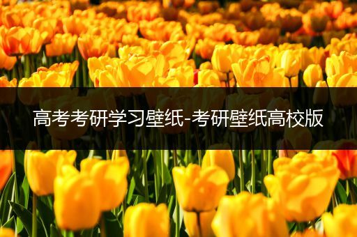 高考考研学习壁纸-考研壁纸高校版