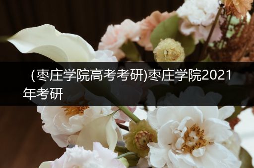 （枣庄学院高考考研)枣庄学院2021年考研
