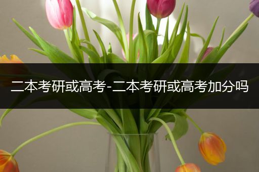二本考研或高考-二本考研或高考加分吗