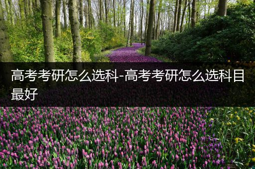 高考考研怎么选科-高考考研怎么选科目最好