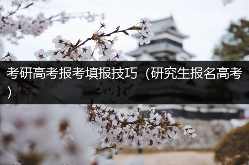 考研高考报考填报技巧（研究生报名高考）