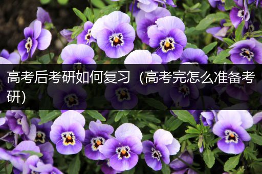 高考后考研如何复习（高考完怎么准备考研）