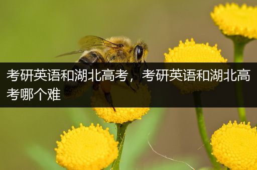 考研英语和湖北高考，考研英语和湖北高考哪个难