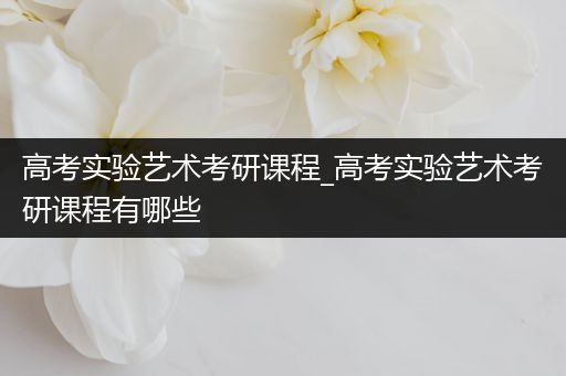 高考实验艺术考研课程_高考实验艺术考研课程有哪些