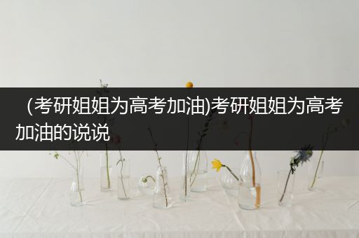 （考研姐姐为高考加油)考研姐姐为高考加油的说说