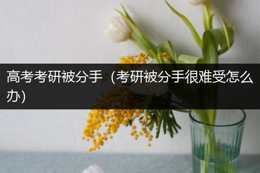 高考考研被分手（考研被分手很难受怎么办）
