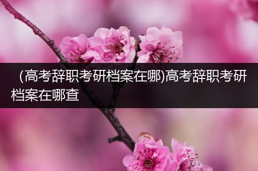 （高考辞职考研档案在哪)高考辞职考研档案在哪查