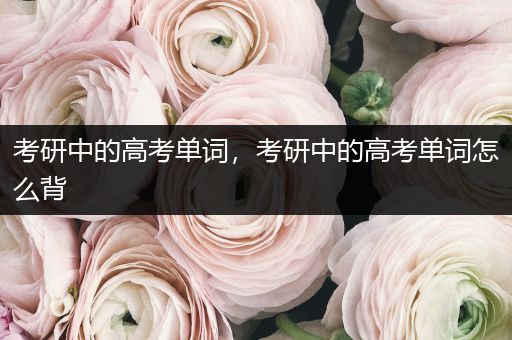 考研中的高考单词，考研中的高考单词怎么背