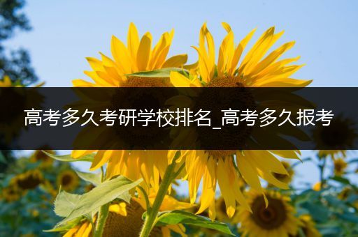 高考多久考研学校排名_高考多久报考