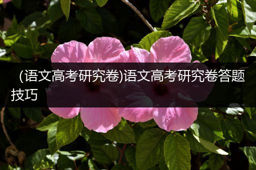（语文高考研究卷)语文高考研究卷答题技巧