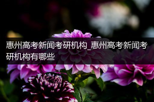 惠州高考新闻考研机构_惠州高考新闻考研机构有哪些