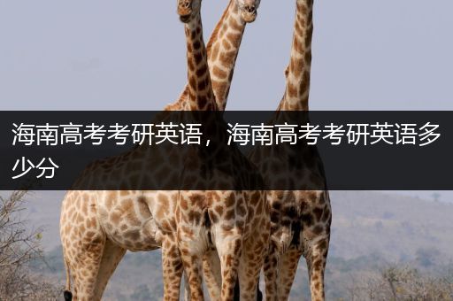 海南高考考研英语，海南高考考研英语多少分
